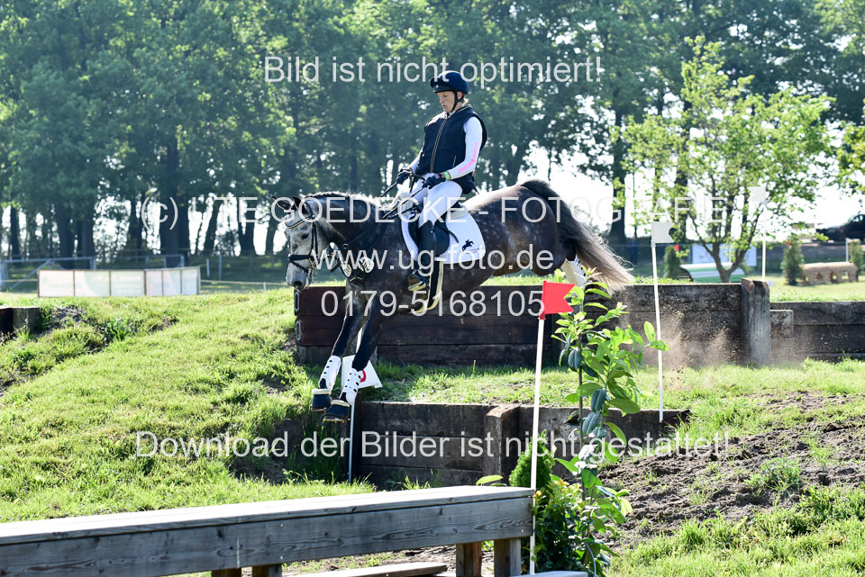 270520---Geländepferde-A_009.jpg