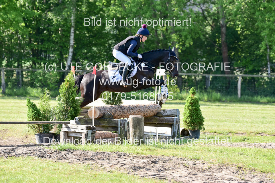 270520---Geländepferde-A_017.jpg