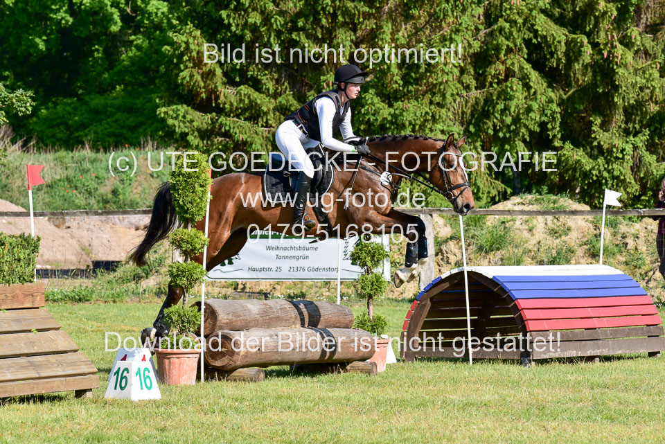 270520---Geländepferde-A_024.jpg