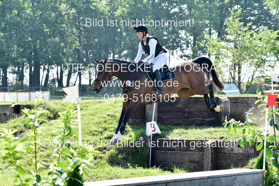 270520---Geländepferde-A_027.jpg
