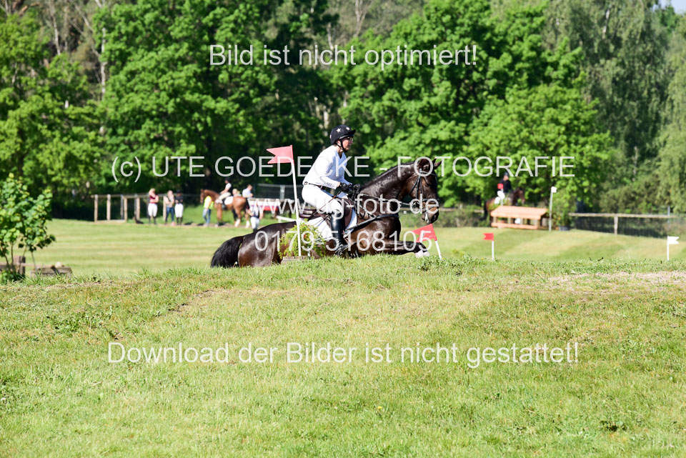 270520---Geländepferde-A_045.jpg