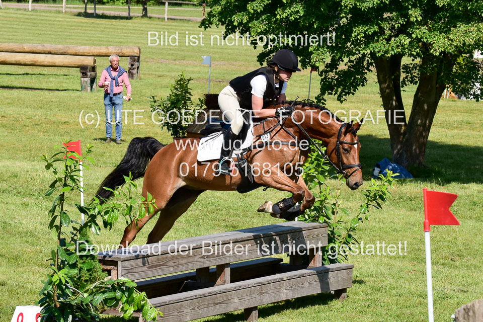 270520---Geländepferde-A_056.jpg