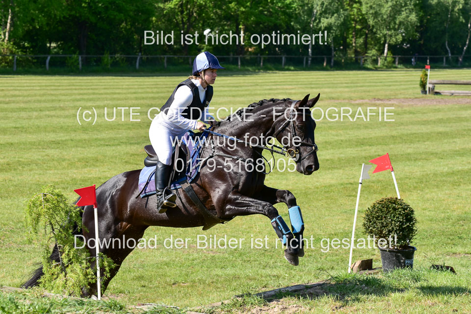 270520---Geländepferde-A_076.jpg
