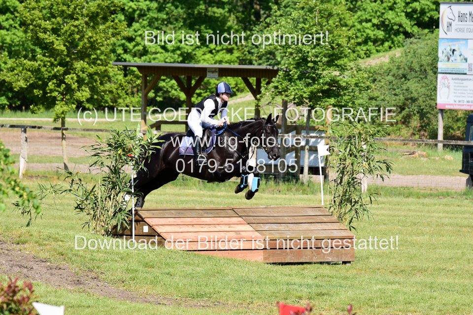 270520---Geländepferde-A_083.jpg