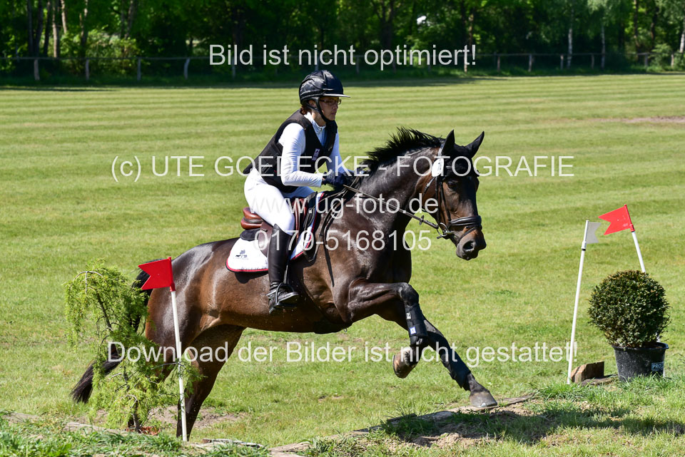 270520---Geländepferde-A_111.jpg