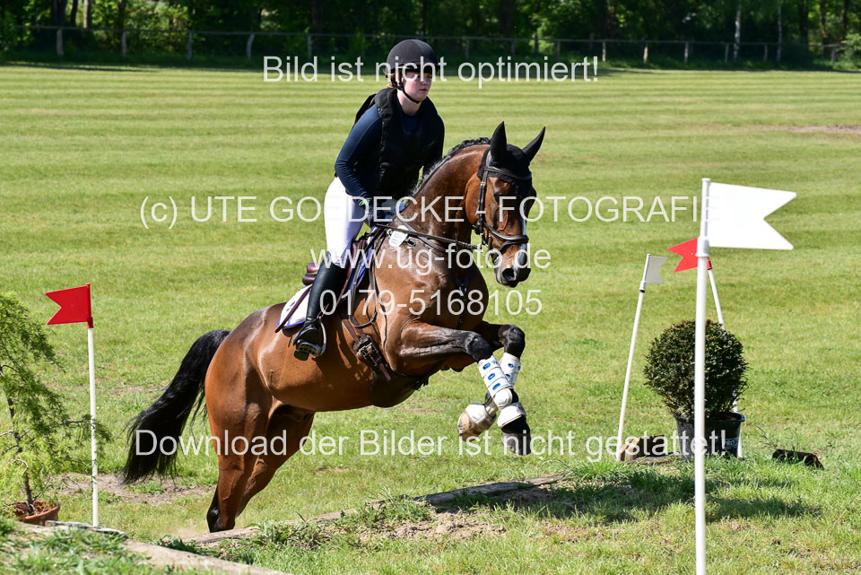 270520---Geländepferde-A_116.jpg