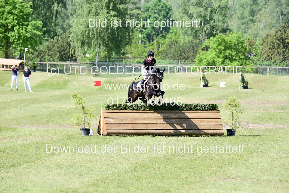 270520---Geländepferde-A_137.jpg