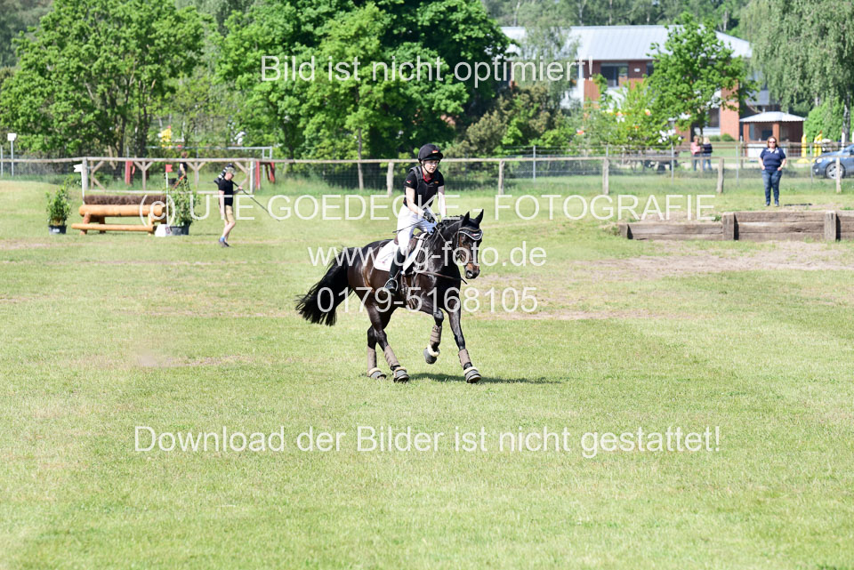 270520---Geländepferde-A_138.jpg