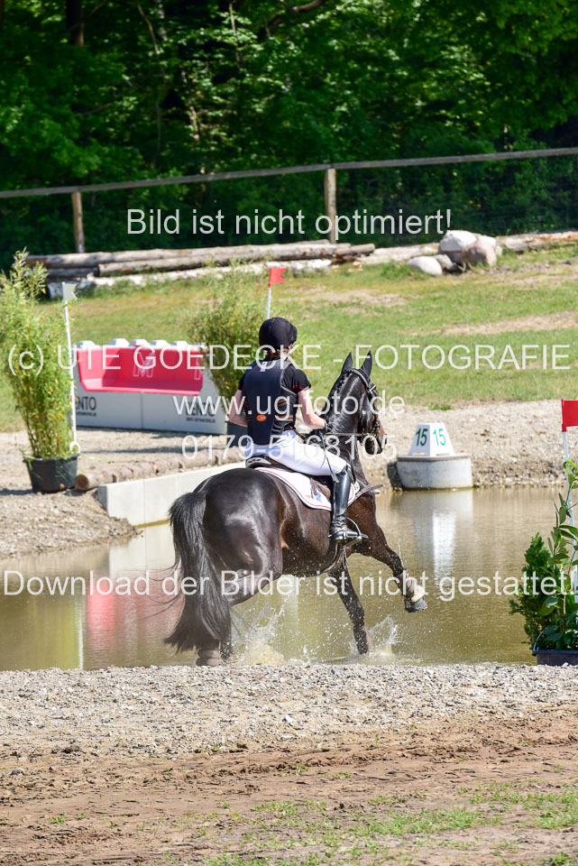 270520---Geländepferde-A_140.jpg