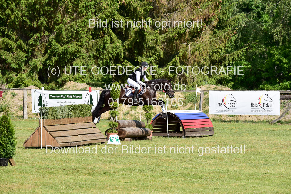 270520---Geländepferde-A_143.jpg