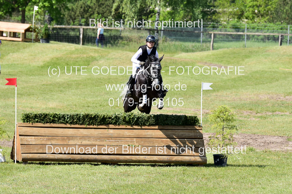 270520---Geländepferde-A_162.jpg