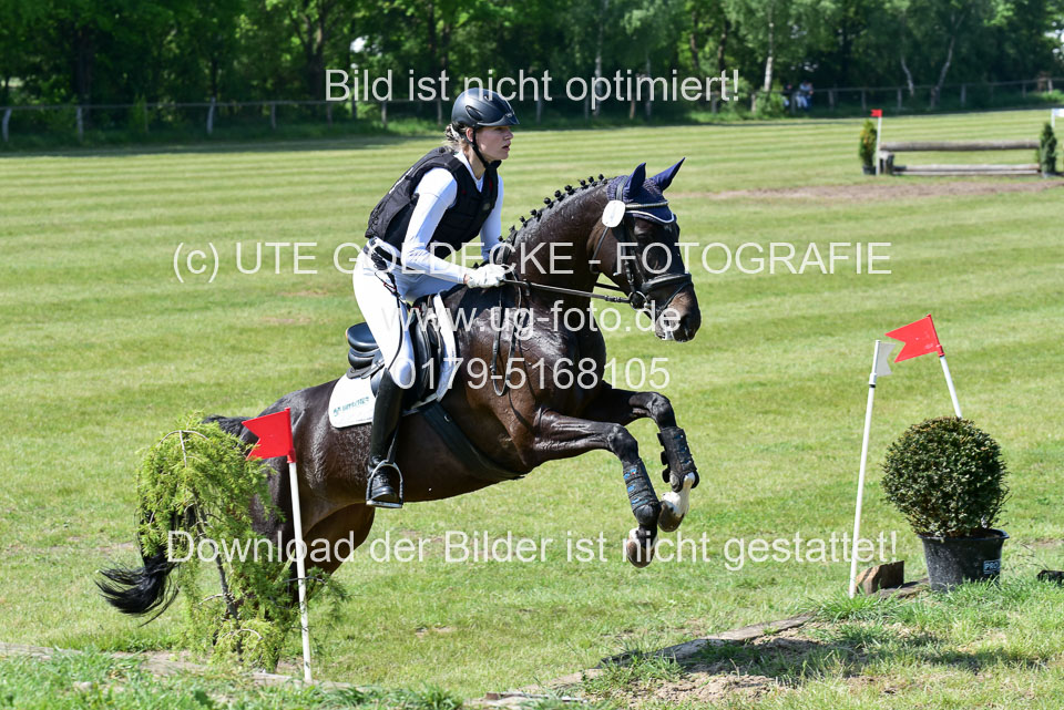 270520---Geländepferde-A_183.jpg
