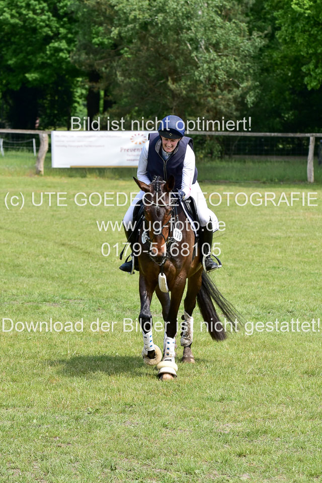 270520---Geländepferde-A_213.jpg