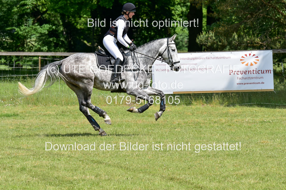 270520---Geländepferde-A_220.jpg