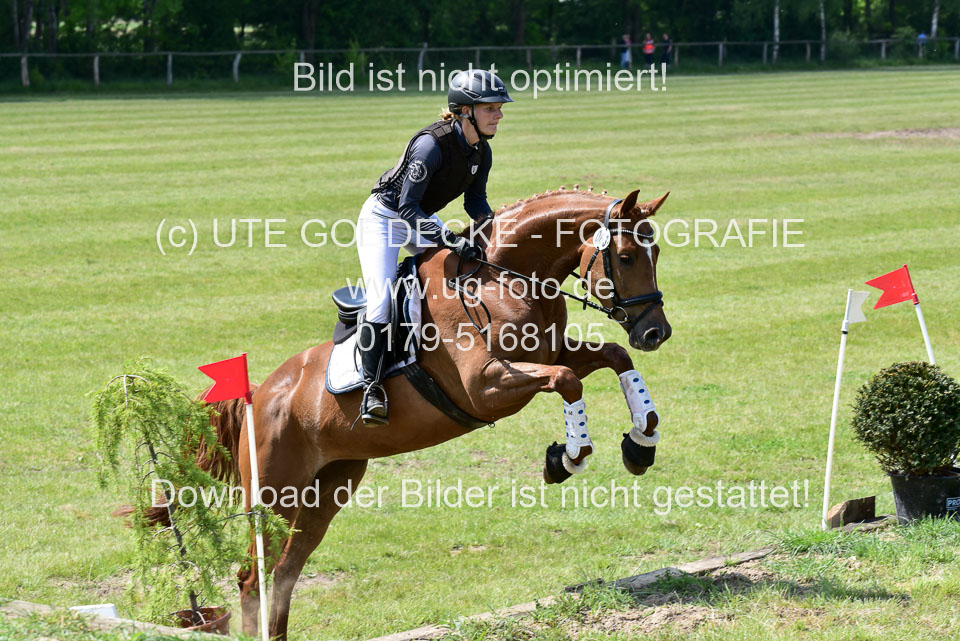 270520---Geländepferde-A_244.jpg