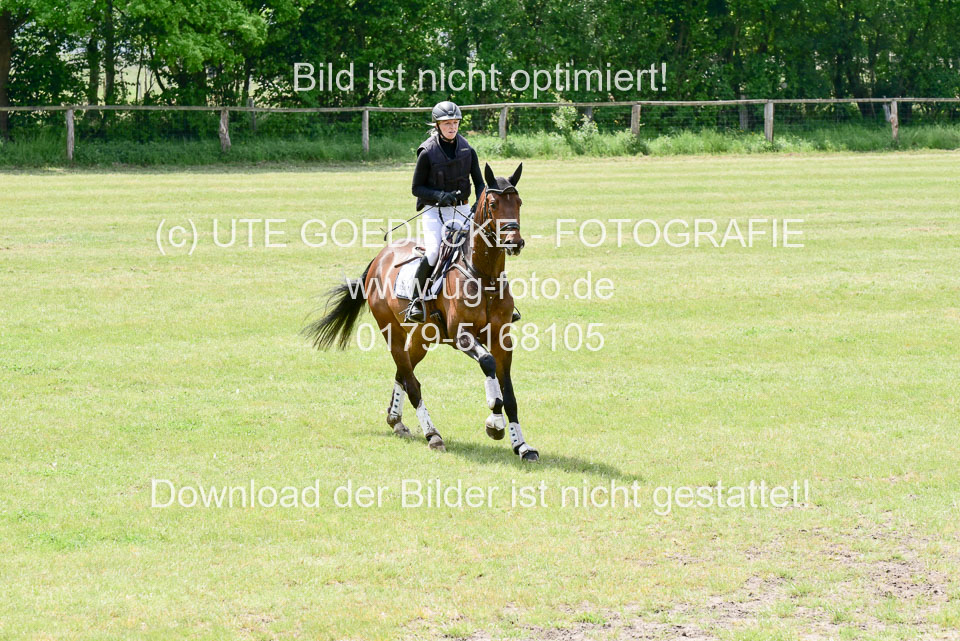 270520---Geländepferde-A_252.jpg