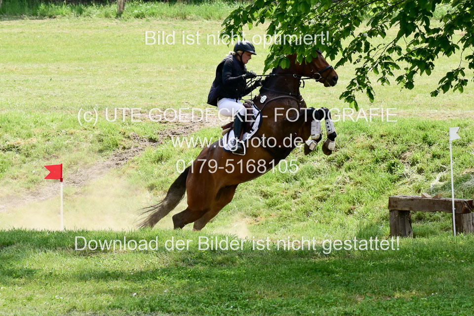 270520---Geländepferde-A_257.jpg
