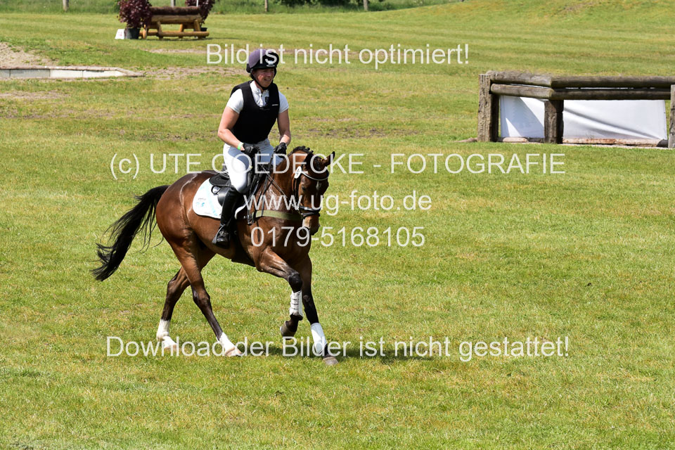 270520---Geländepferde-A_274.jpg