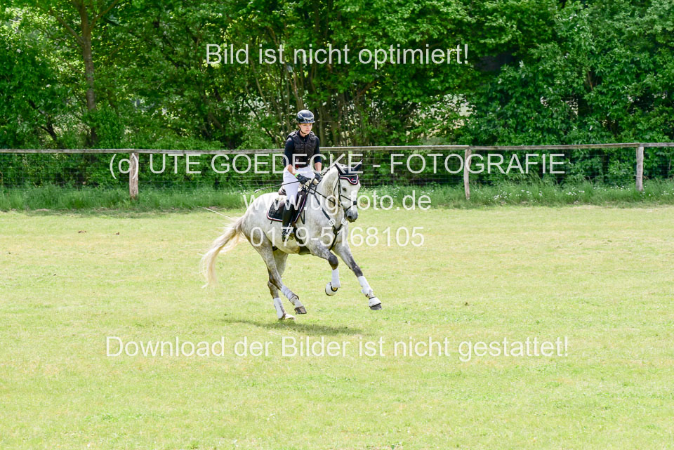 270520---Geländepferde-A_287.jpg