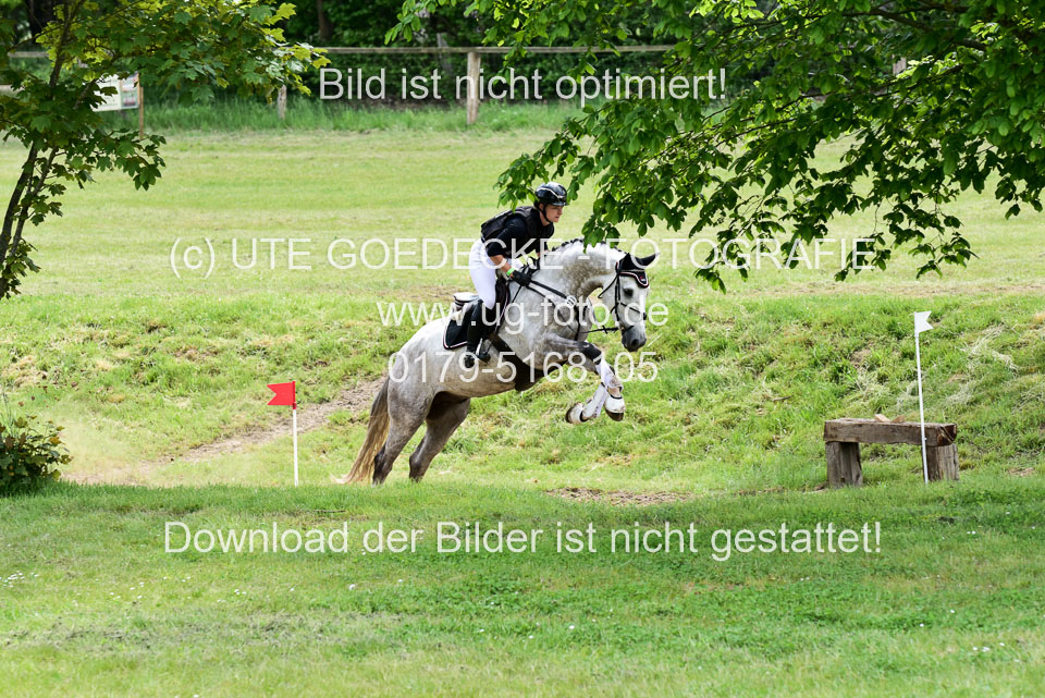 270520---Geländepferde-A_291.jpg