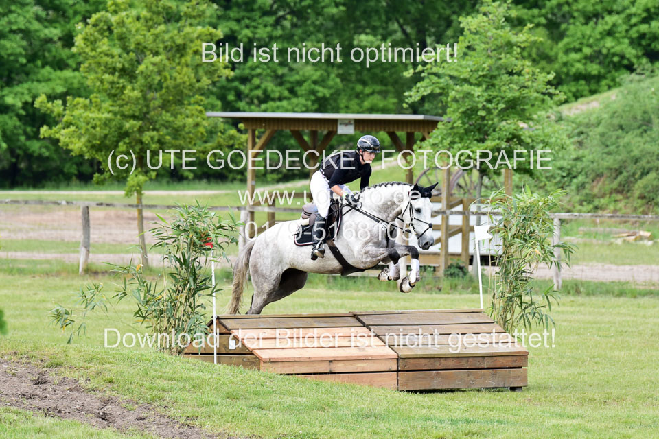 270520---Geländepferde-A_292.jpg