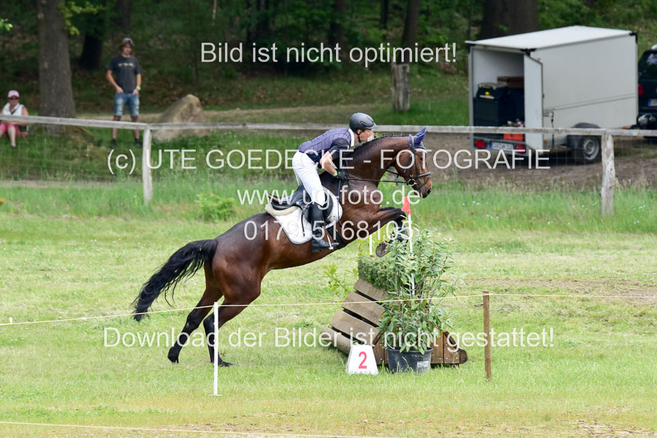 270520---Geländepferde-A_294.jpg