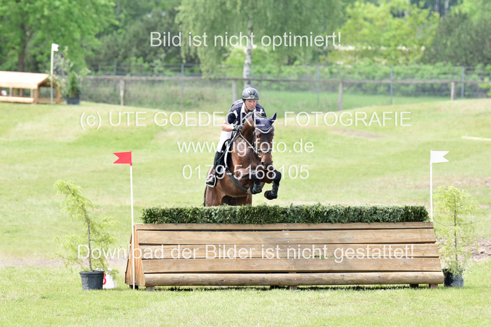 270520---Geländepferde-A_296.jpg