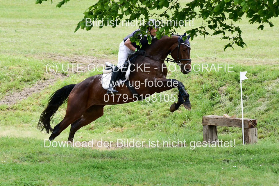 270520---Geländepferde-A_298.jpg