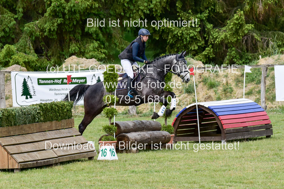 270520---Geländepferde-A_306.jpg