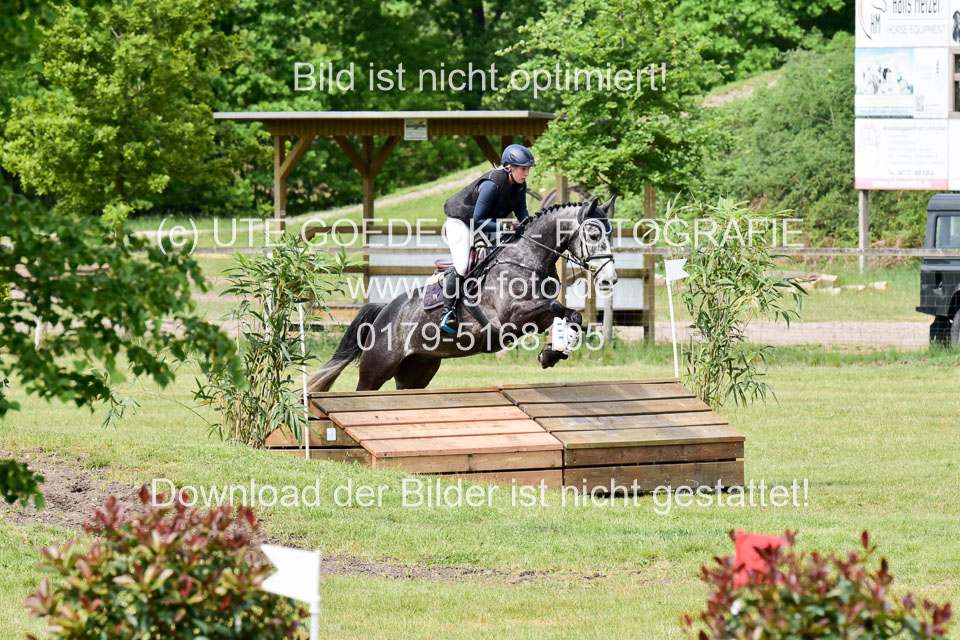 270520---Geländepferde-A_311.jpg