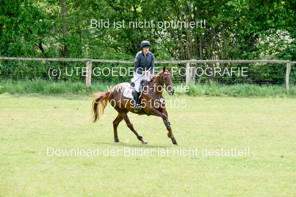 270520---Geländepferde-A_313.jpg