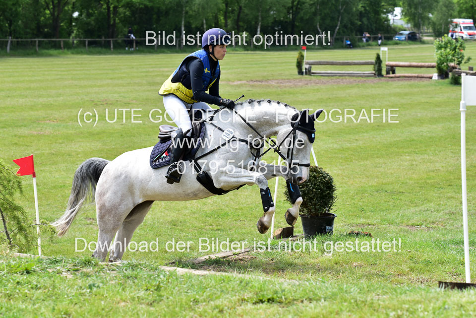 270520---Geländepferde-A_330.jpg
