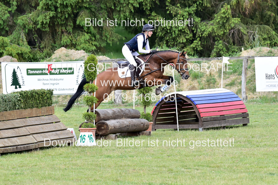 270520---Geländepferde-A_333.jpg