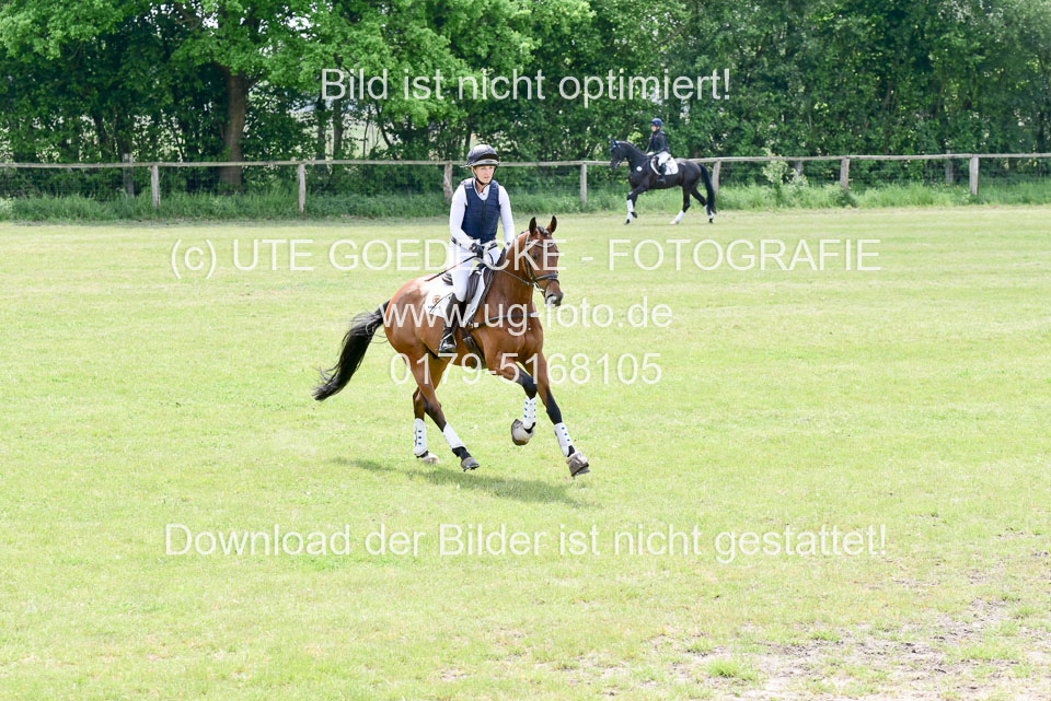 270520---Geländepferde-A_334.jpg