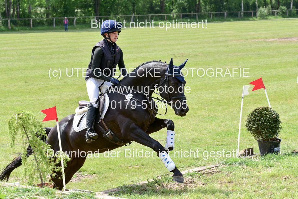 270520---Geländepferde-A_342.jpg