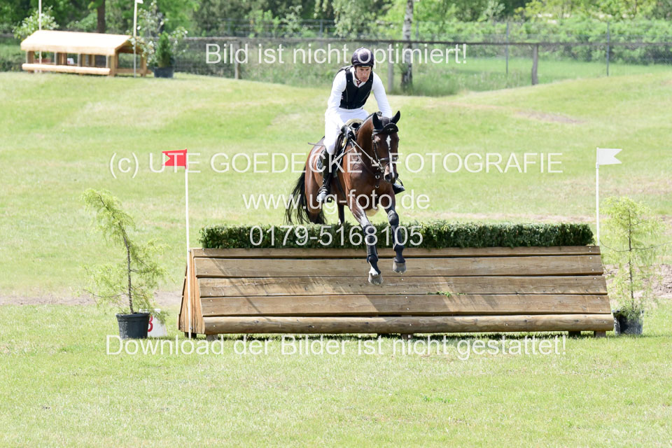 270520---Geländepferde-A_356.jpg