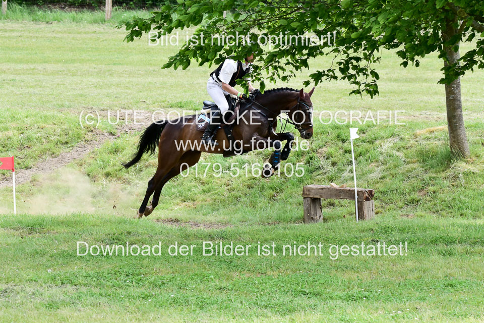 270520---Geländepferde-A_366.jpg