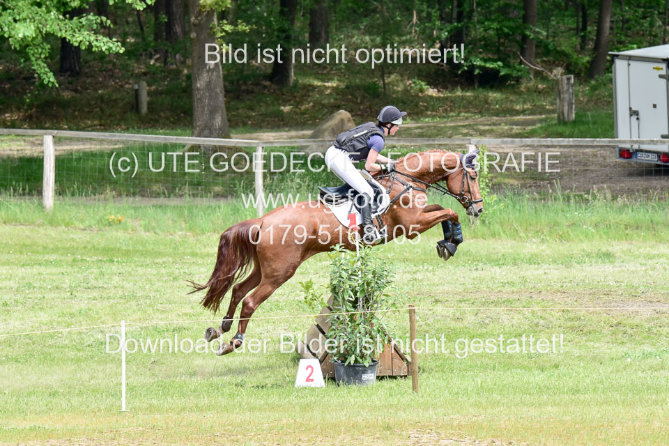 270520---Geländepferde-A_368.jpg