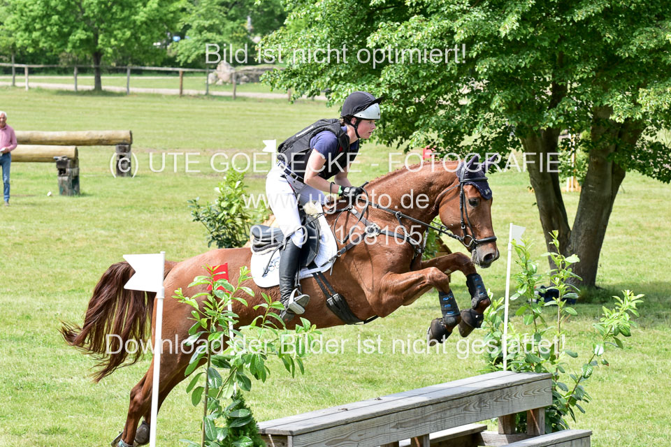 270520---Geländepferde-A_373.jpg