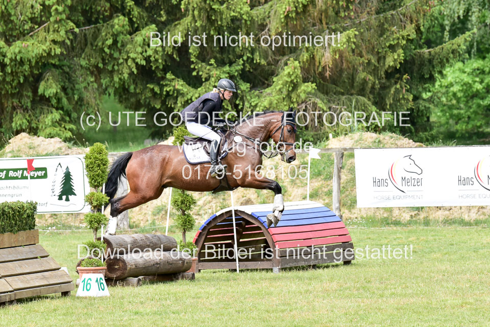 270520---Geländepferde-A_375.jpg