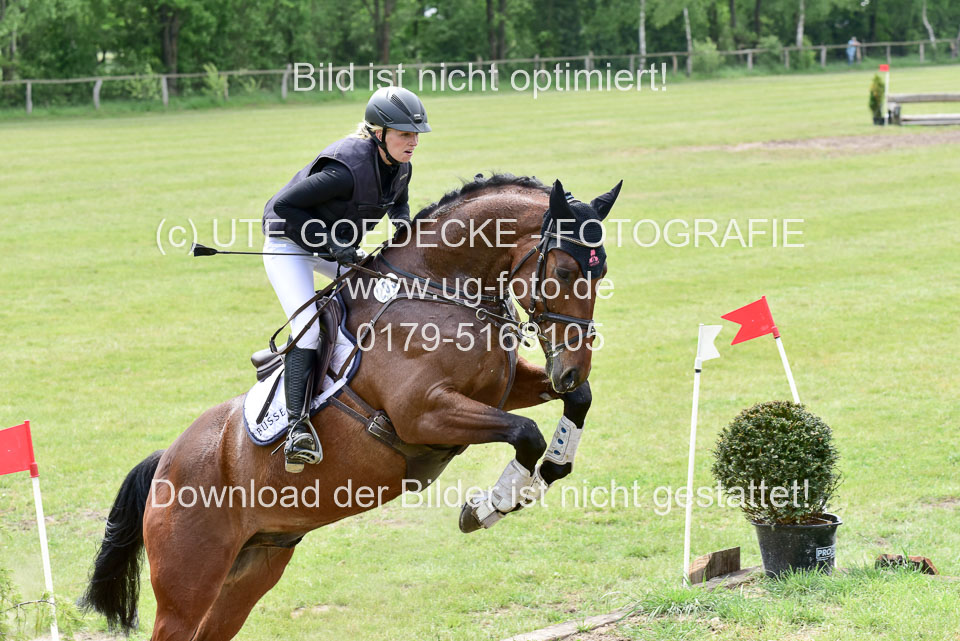 270520---Geländepferde-A_377.jpg