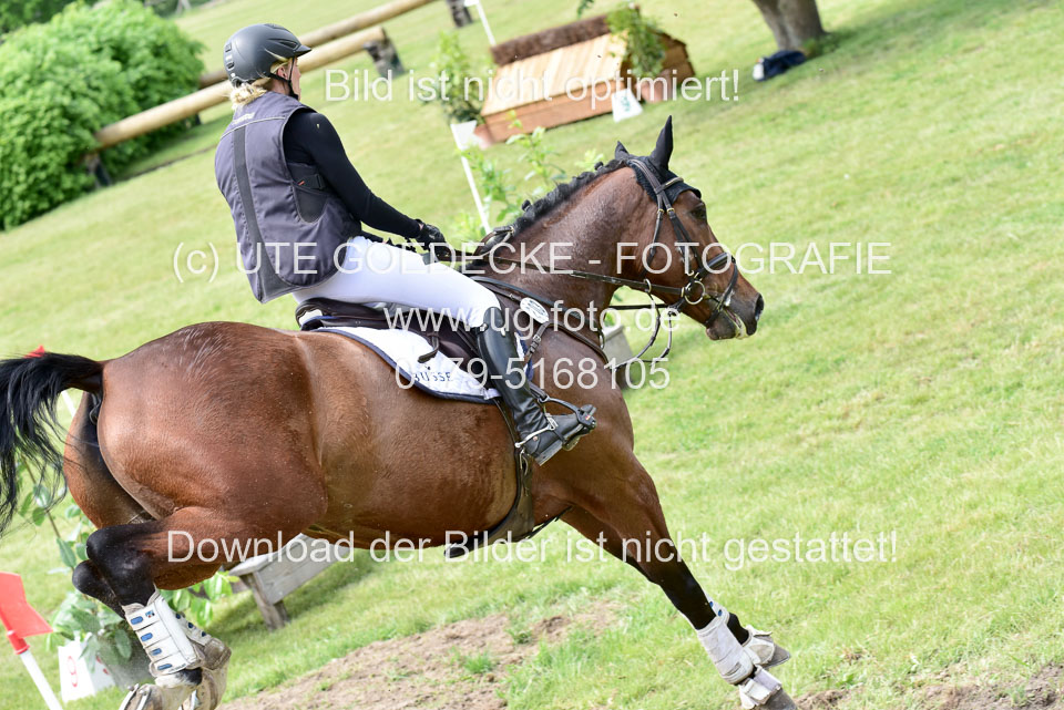 270520---Geländepferde-A_378.jpg