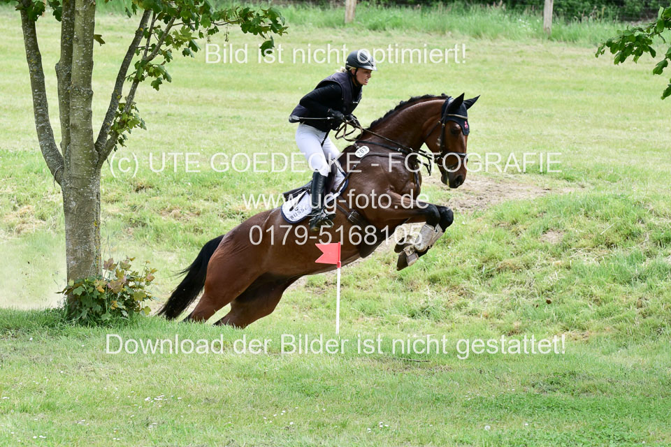270520---Geländepferde-A_381.jpg