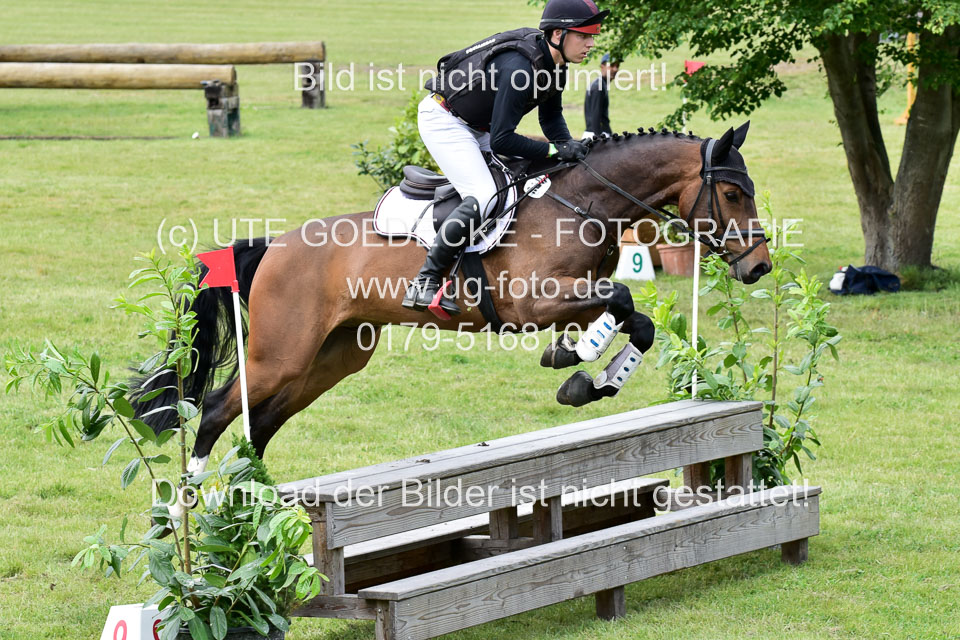 270520---Geländepferde-A_386.jpg