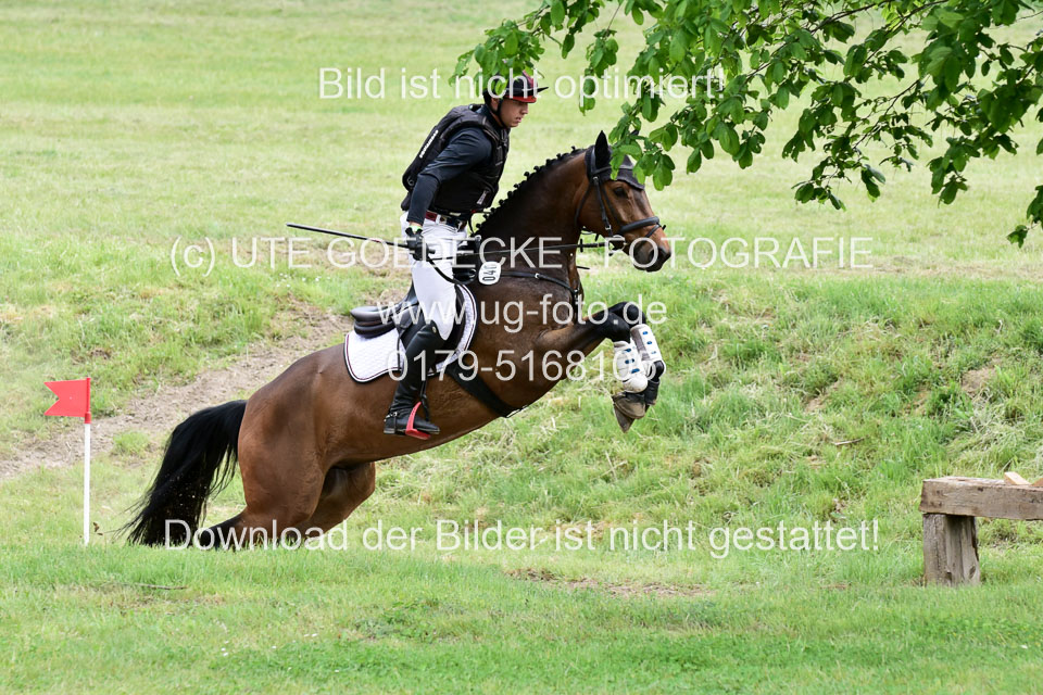 270520---Geländepferde-A_387.jpg