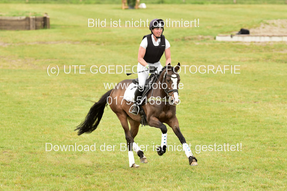 270520---Geländepferde-A_399.jpg