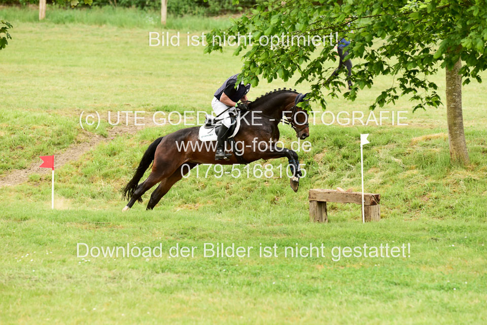 270520---Geländepferde-A_407.jpg