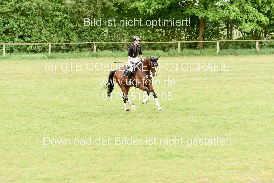 270520---Geländepferde-A_410.jpg