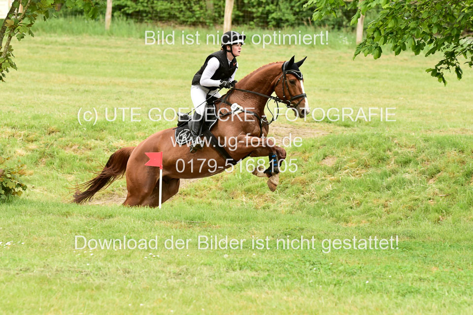 270520---Geländepferde-A_426.jpg