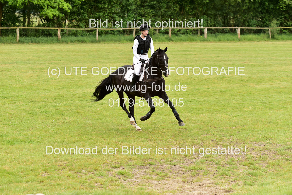 270520---Geländepferde-A_429.jpg